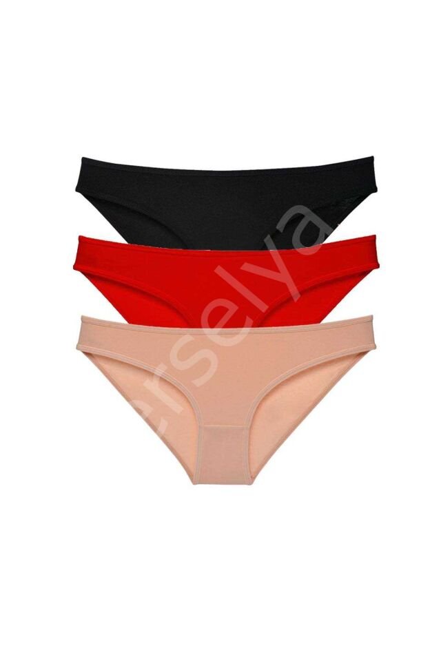 3 adet Süper Eko Set Likralı Kadın Slip Külot 539 XL