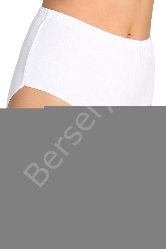 7 Adet Tutku Kadın Yüksek Bel Bato Kalın Lastik Külot S19