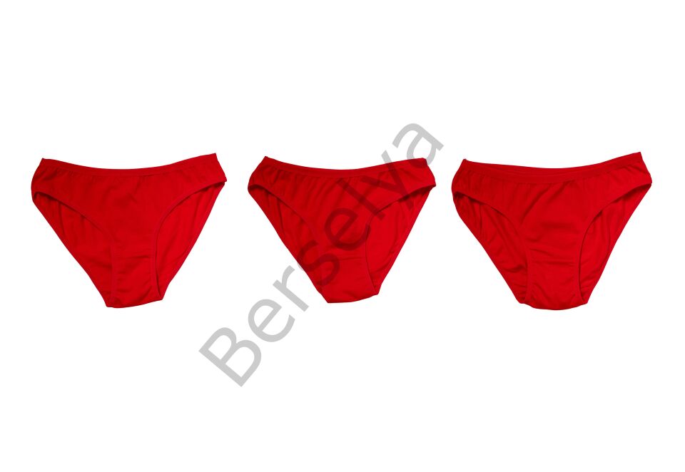 Kırmızı Yılbaşı Desenli 3'lü Pamuklu Külot Takımı