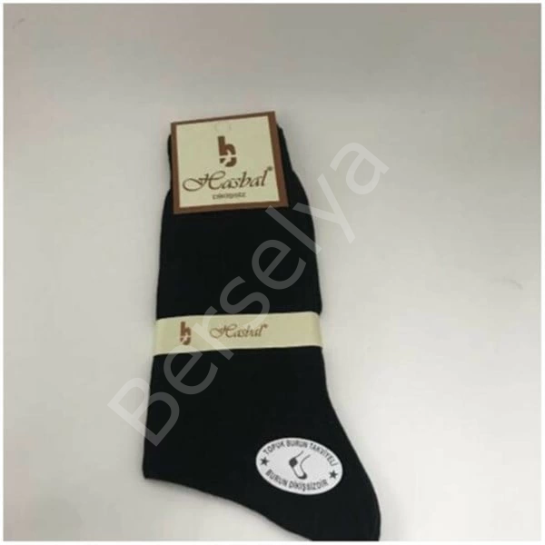 Hasbal Dikişsiz Erkek Çorabı 3 Adet