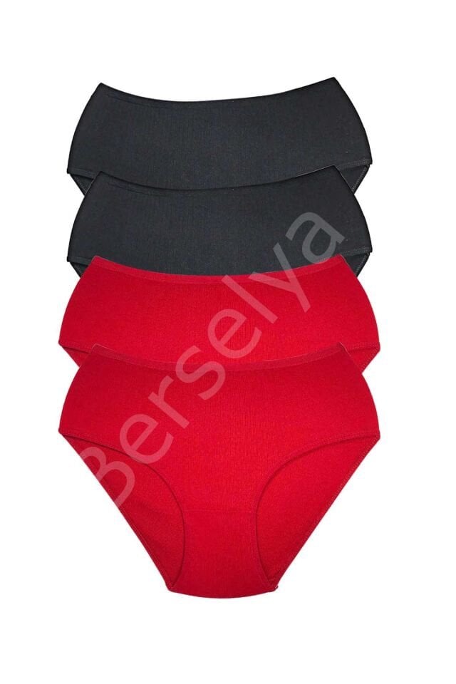 4 Adet Kadın Yüksek Bel Ribana Bato Külot S013