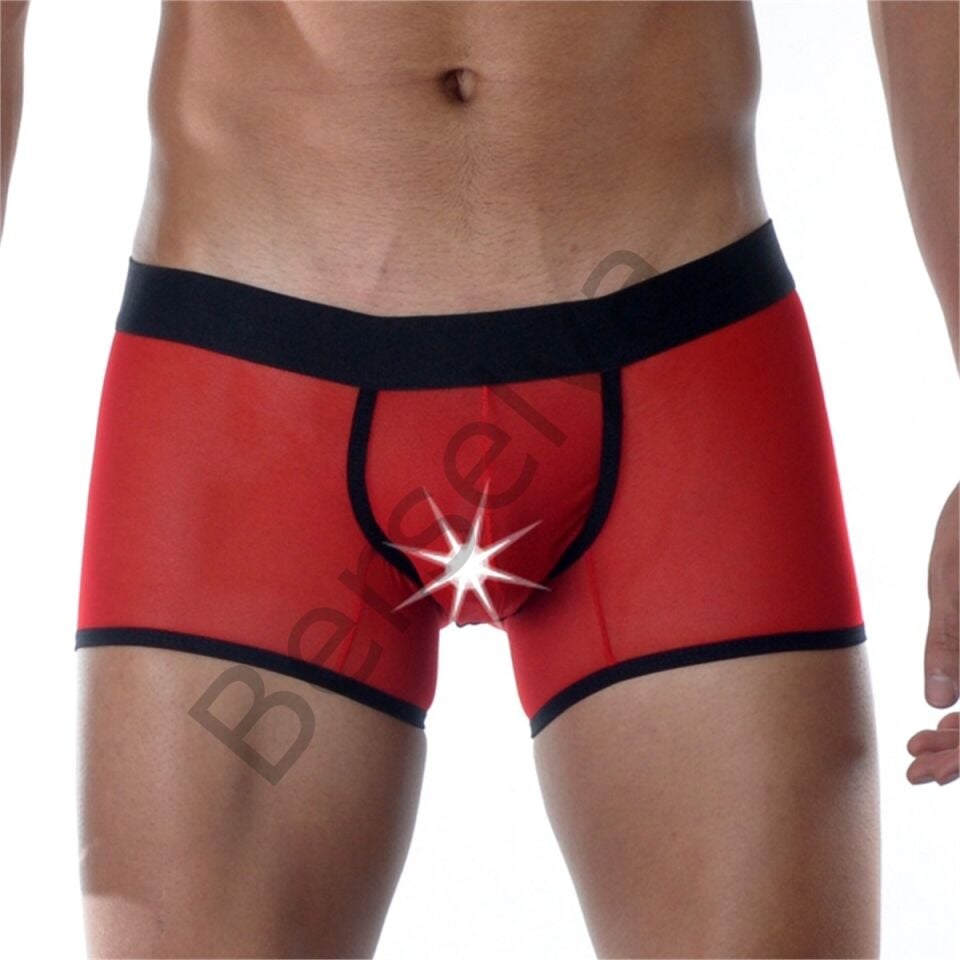 Kırmızı Erkek  Boxer