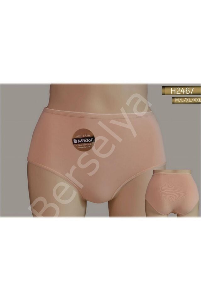 2467 Yüksek Bel Modal Slıp Helena Paris Kadın