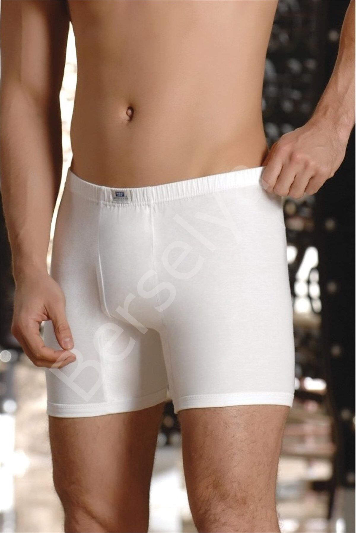 Nbb 721 Erkek  Arjantin Boxer