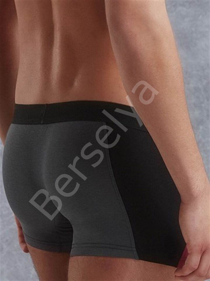Doreanse Erkek  Modal Normal Paça Boxer 1787