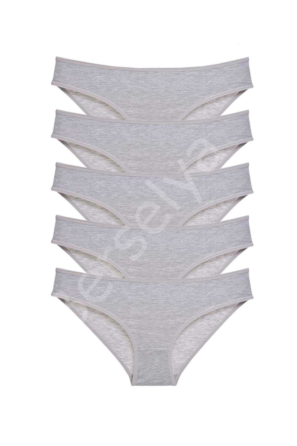 5 Adet Süper Eko Set Likralı Kadın Slip Külot Gri