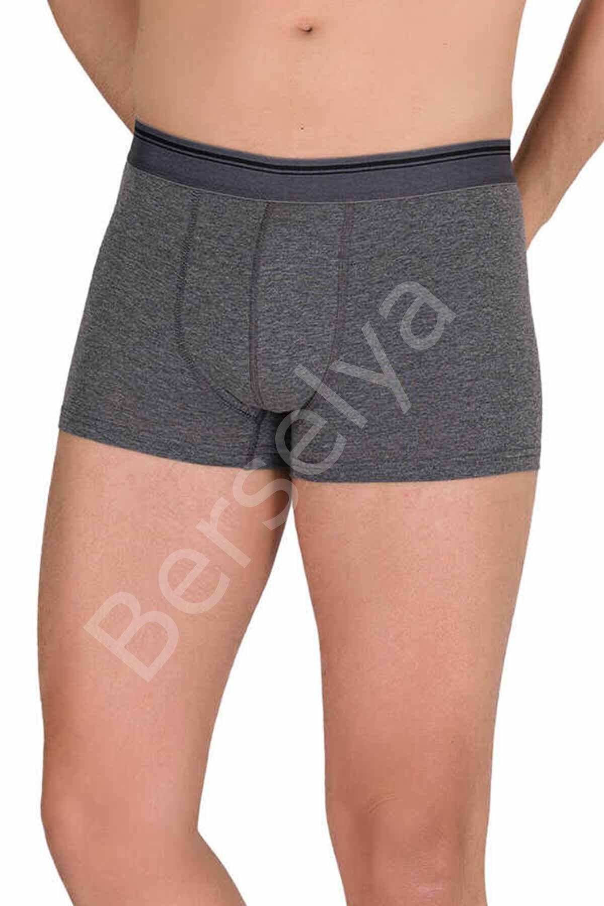 Likralı Erkek Büyük Beden Boxer Şort Füme 1097B