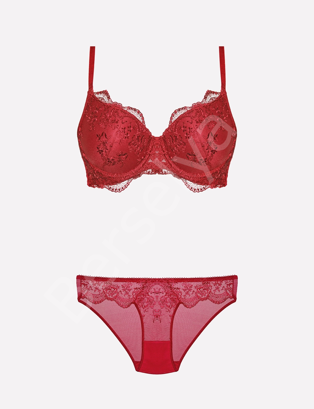 4385 Dantelli Sütyen Takımı