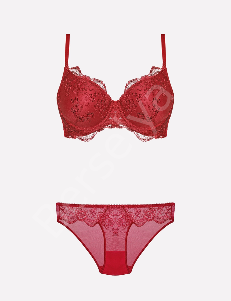 4385 Dantelli Sütyen Takımı