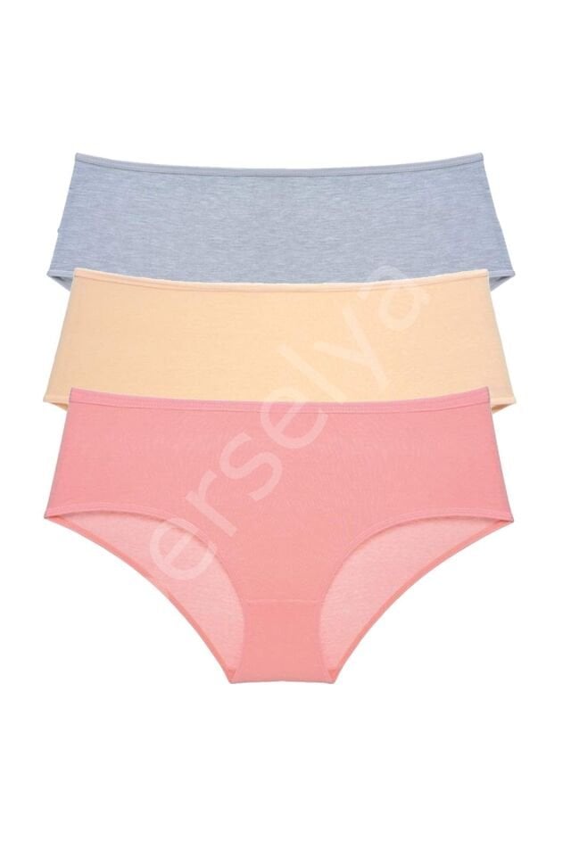 3 Adet Kadın Yüksek Bel Bato Külot Gri Ten Pudra