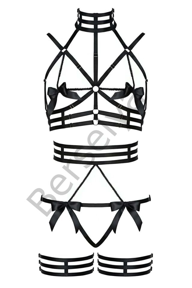 Özel Tasarım Seksi Harness Takım - Brf350