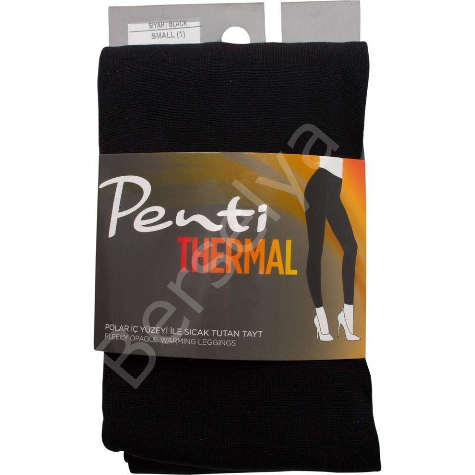 Polar İç Yüzeyli Sıcak Tutan Siyah Kadın Penti İçlik Tayt