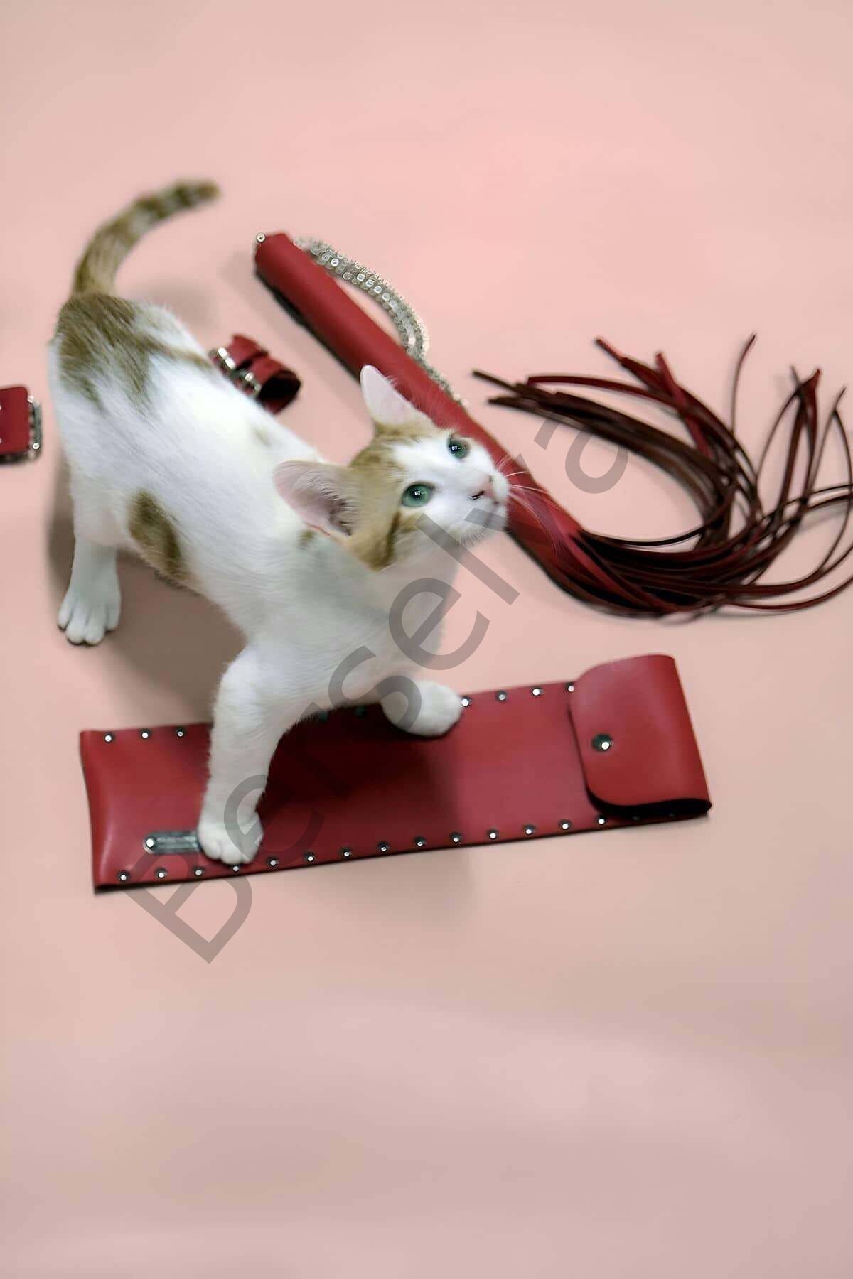 Kırbaç - Kelepçe Set, Kırbaç Takım, Fantezi Kelepçe Takım - Brf1304