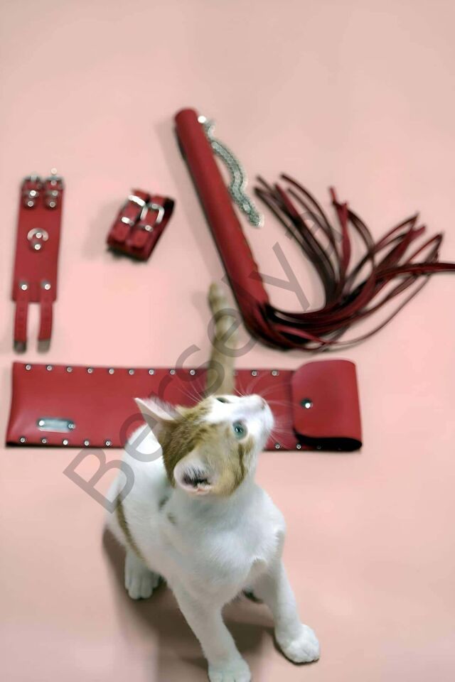 Kırbaç - Kelepçe Set, Kırbaç Takım, Fantezi Kelepçe Takım - Brf1304