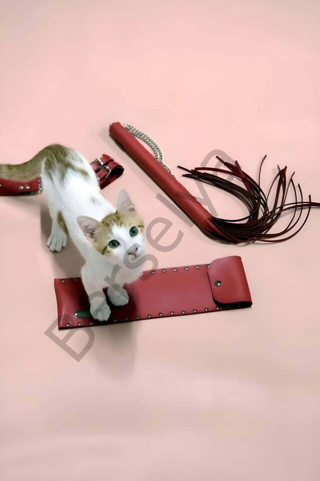 Kırbaç - Kelepçe Set, Kırbaç Takım, Fantezi Kelepçe Takım - Brf1304