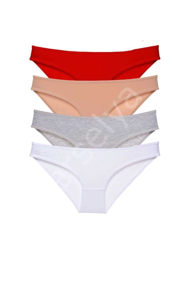 4 Adet Süper Eko Set Likralı Kadın Slip Külot 531