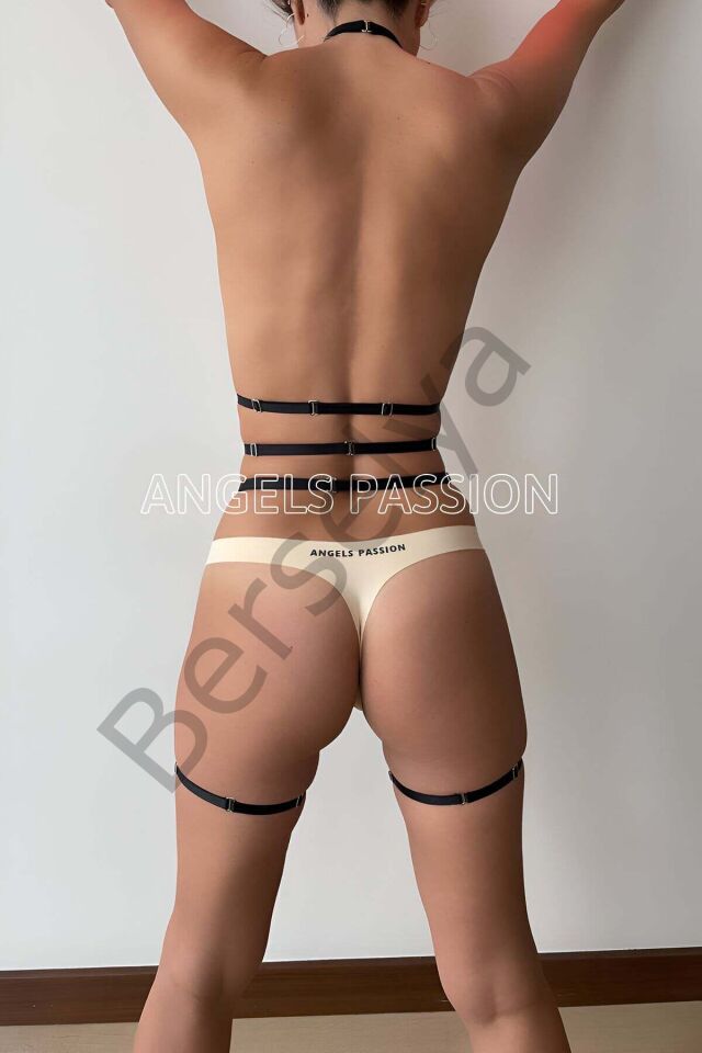 Lastik Jartiyer Harness
