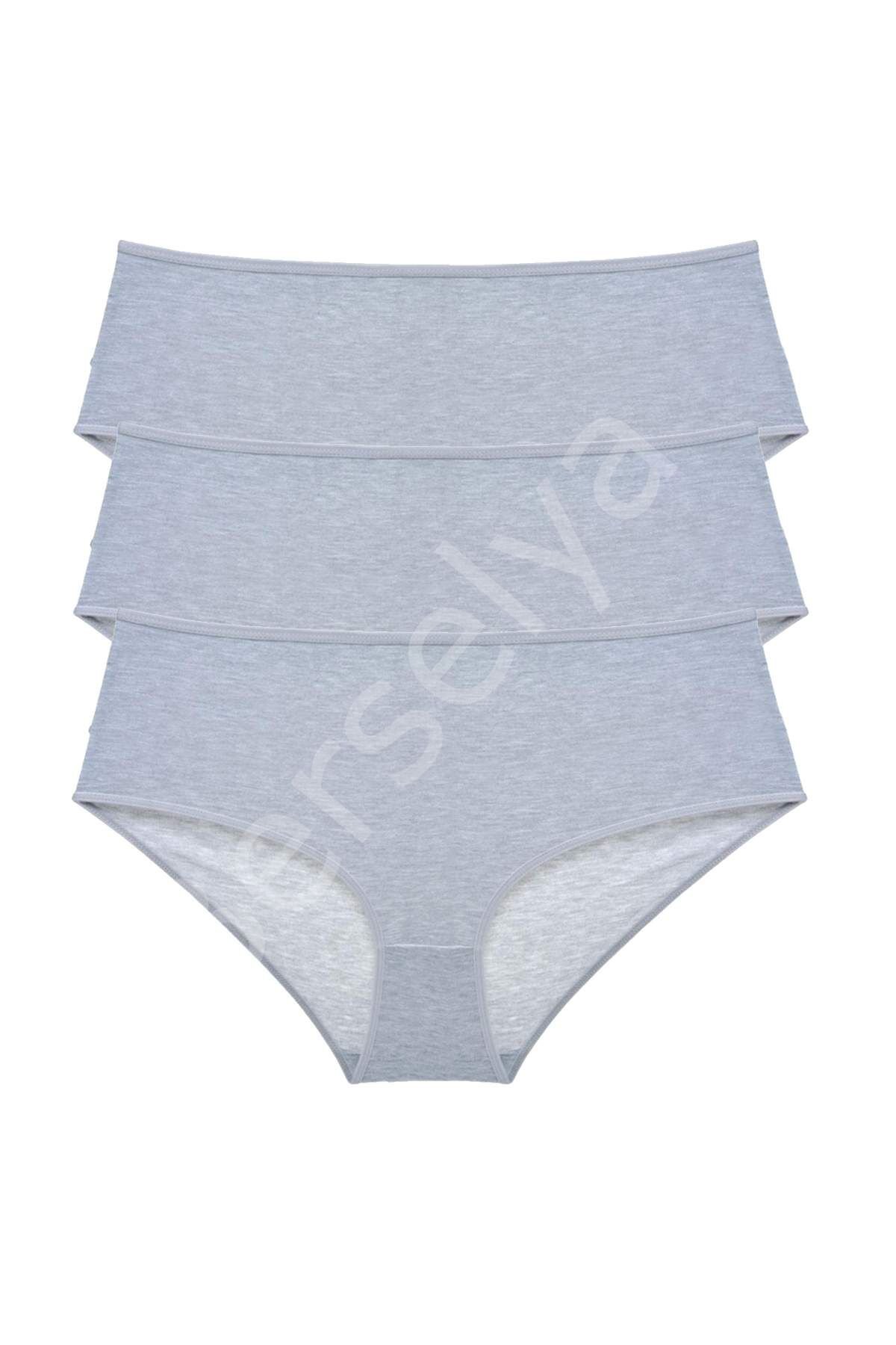 3 Adet Kadın Yüksek Bel Bato Külot Gri