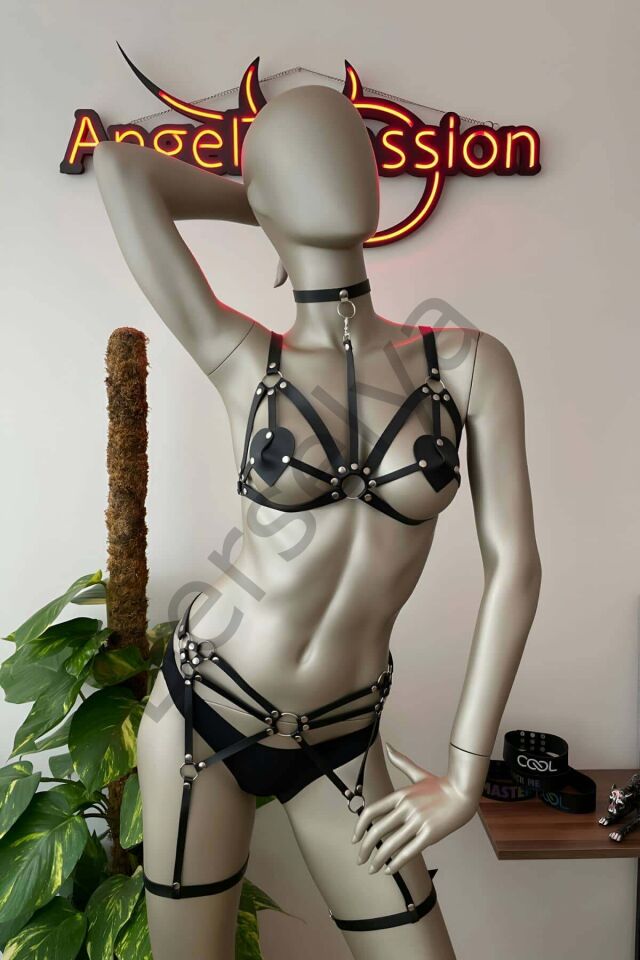 Deri Jartiyer Siyah Harness Takım - Brf451