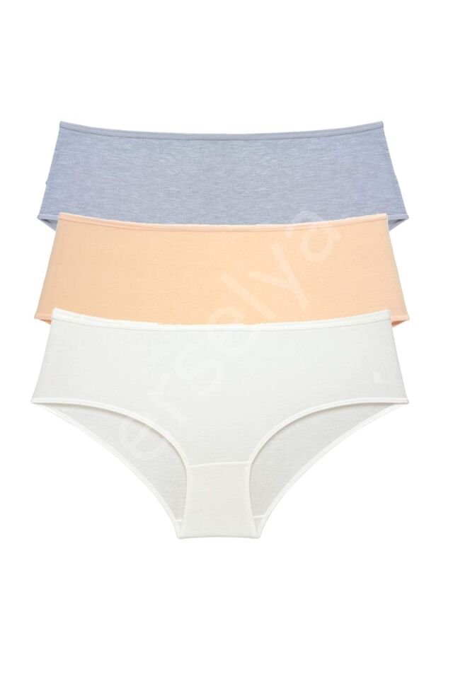 3 Adet Kadın Yüksek Bel Bato Külot Gri Ten Krem