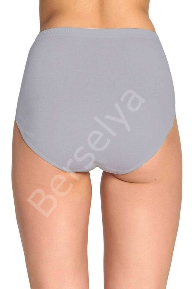 4 Adet Tutku Kadın Yüksek Bel Bato Kalın Lastik Külot S10 L