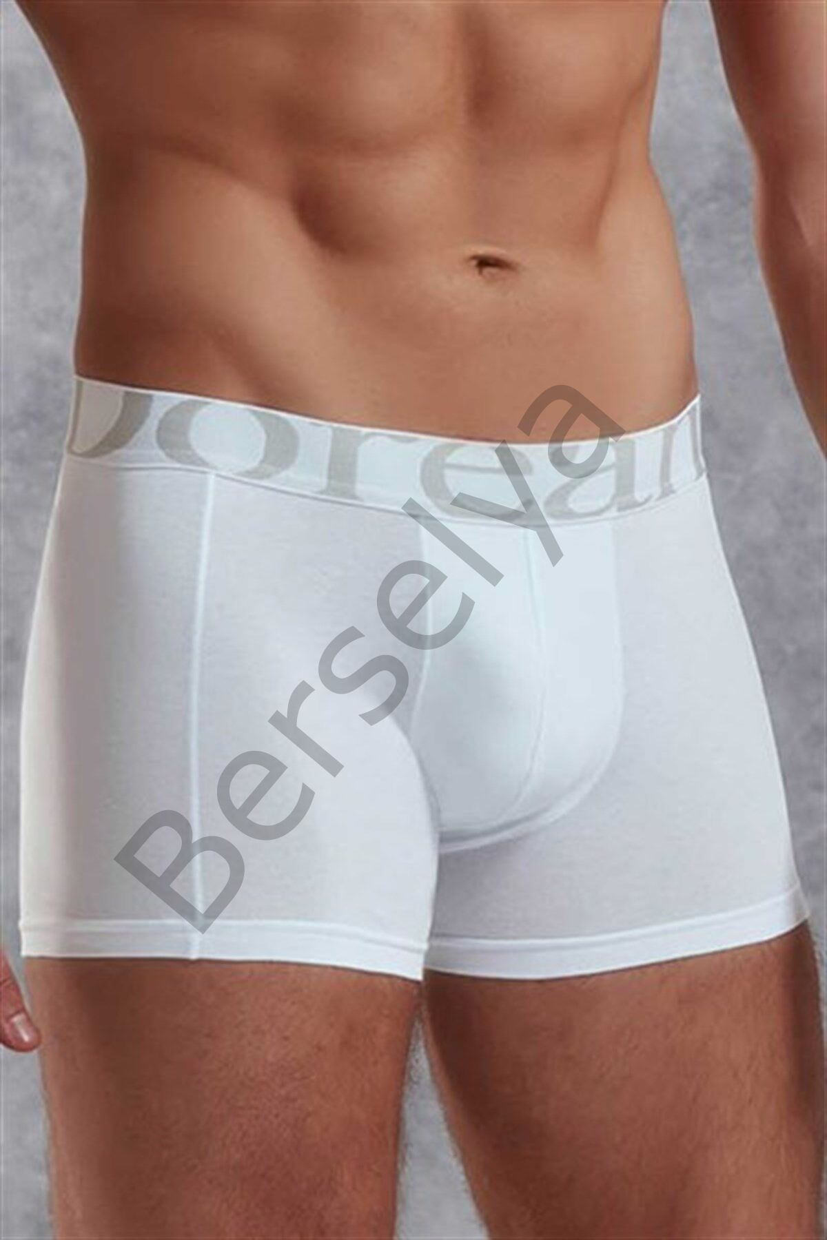 Doreanse Erkek  Modal Normal Paça Boxer 1777p