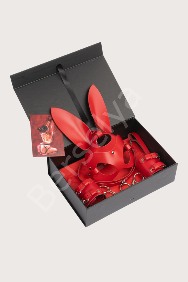 4lü Deri Fantezi Kırmızı Harness Set Özel Tasarım Premium Model 800713k