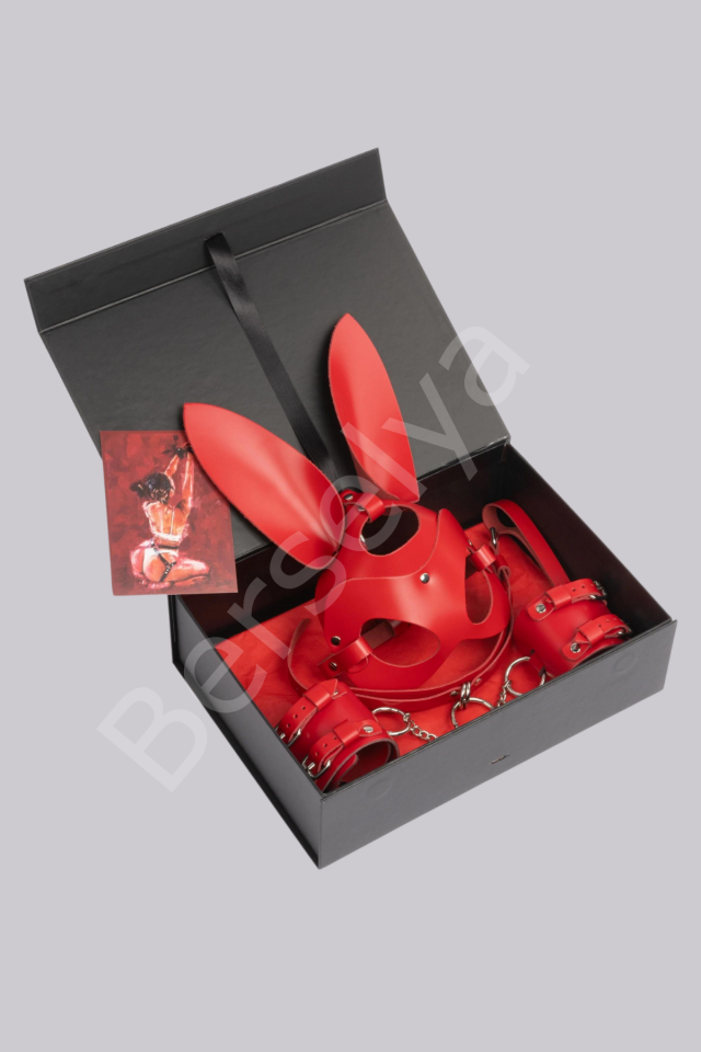 5li Fantezi Harness Deri Kırmızı Set Özel Tasarım Premium Model 800729k