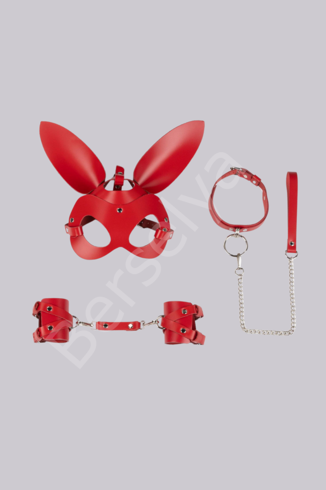5li Fantezi Harness Deri Kırmızı Set Özel Tasarım Premium Model 800729k