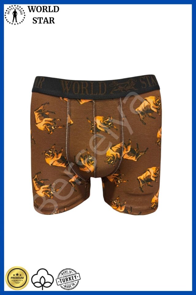 Likralı Pamuklu Renkli Erkek Boxer