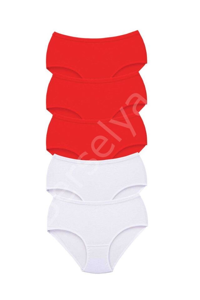 5 Adet Tutku Kadın Yüksek Bel Bato Kalın Lastik Külot S8 3XL