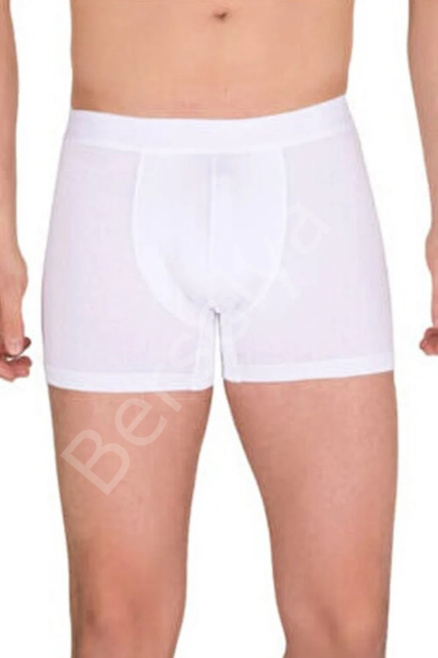 Berrak Erkek  Modal Boxer  4476