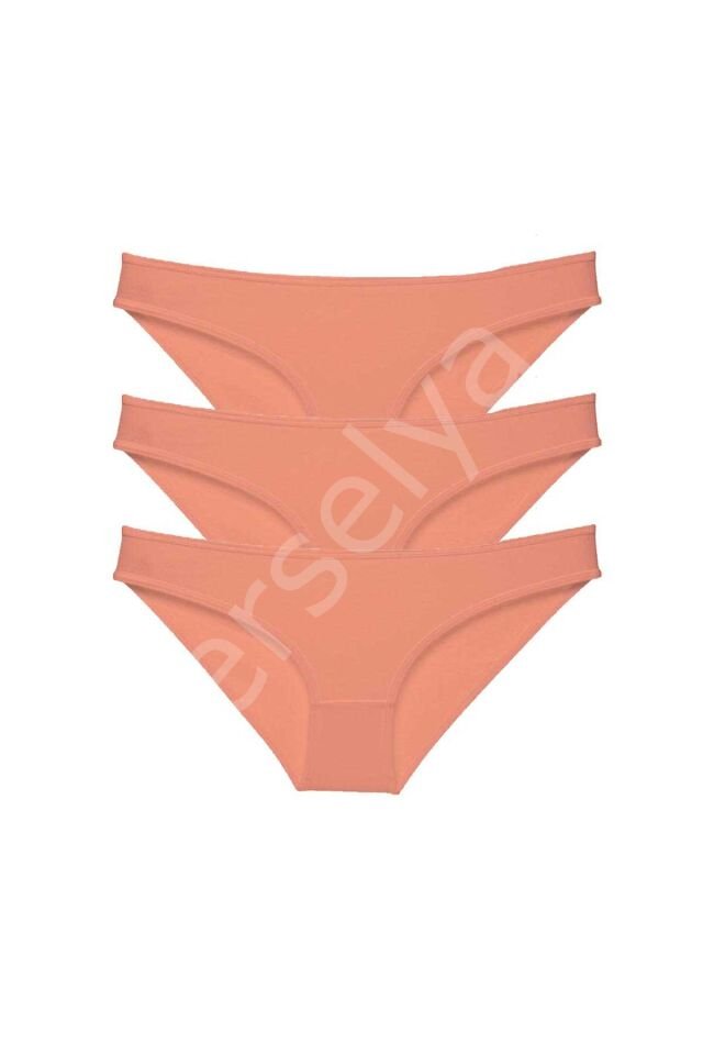 3 adet Süper Eko Set Likralı Kadın Slip Külot Pudra