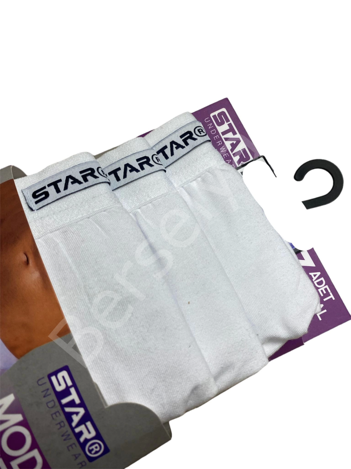 Star 109 Erkek  3'lü Modal Slip