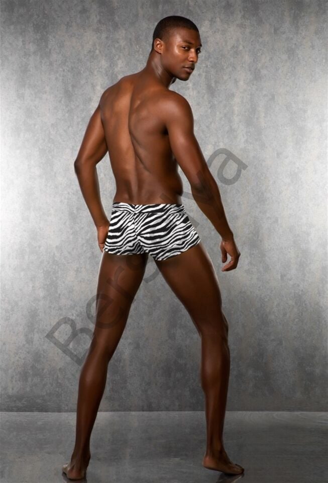 Doreanse Zebra Desenli Erkek  Boxer 1795
