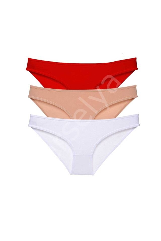 3 adet Süper Eko Set Likralı Kadın Slip Külot 541