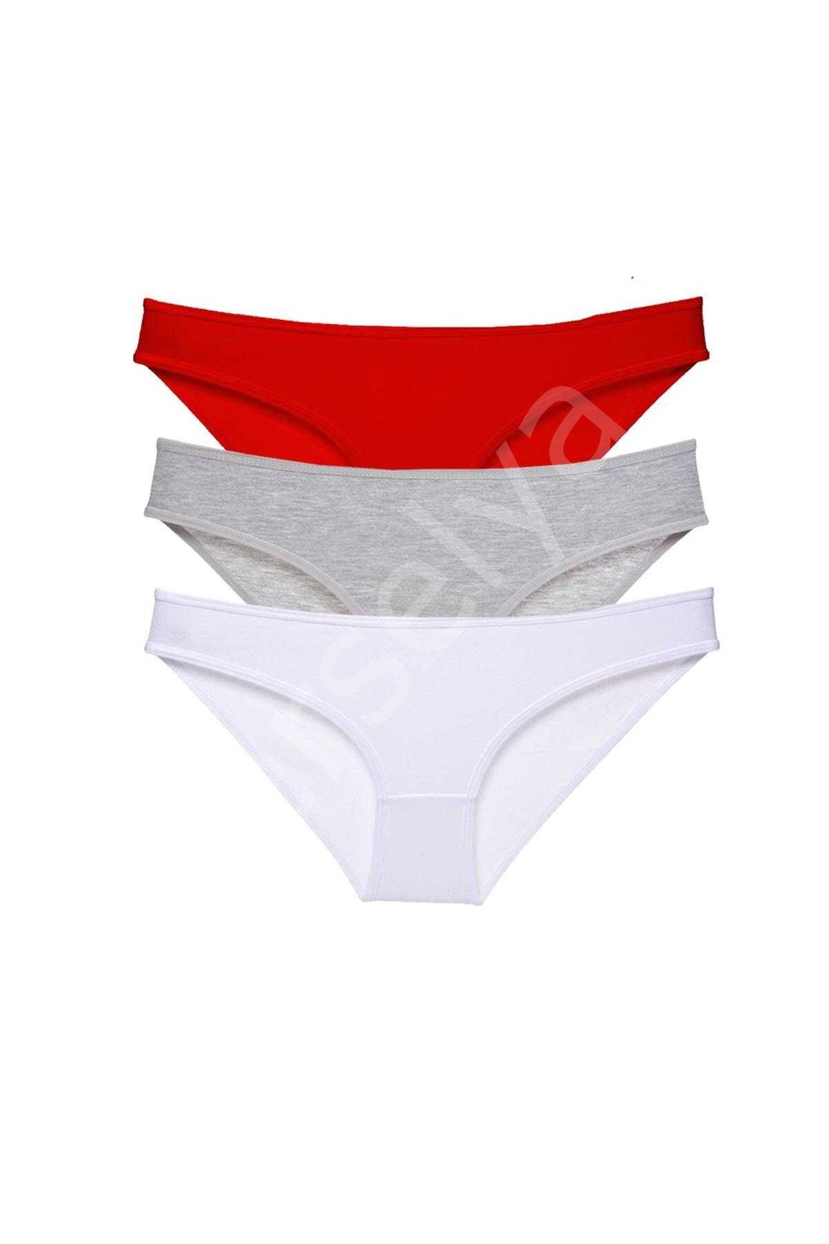 3 adet Süper Eko Set Likralı Kadın Slip Külot 542