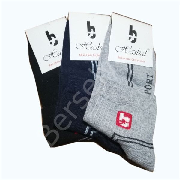 Hasbal Erkek  Patik Çorap