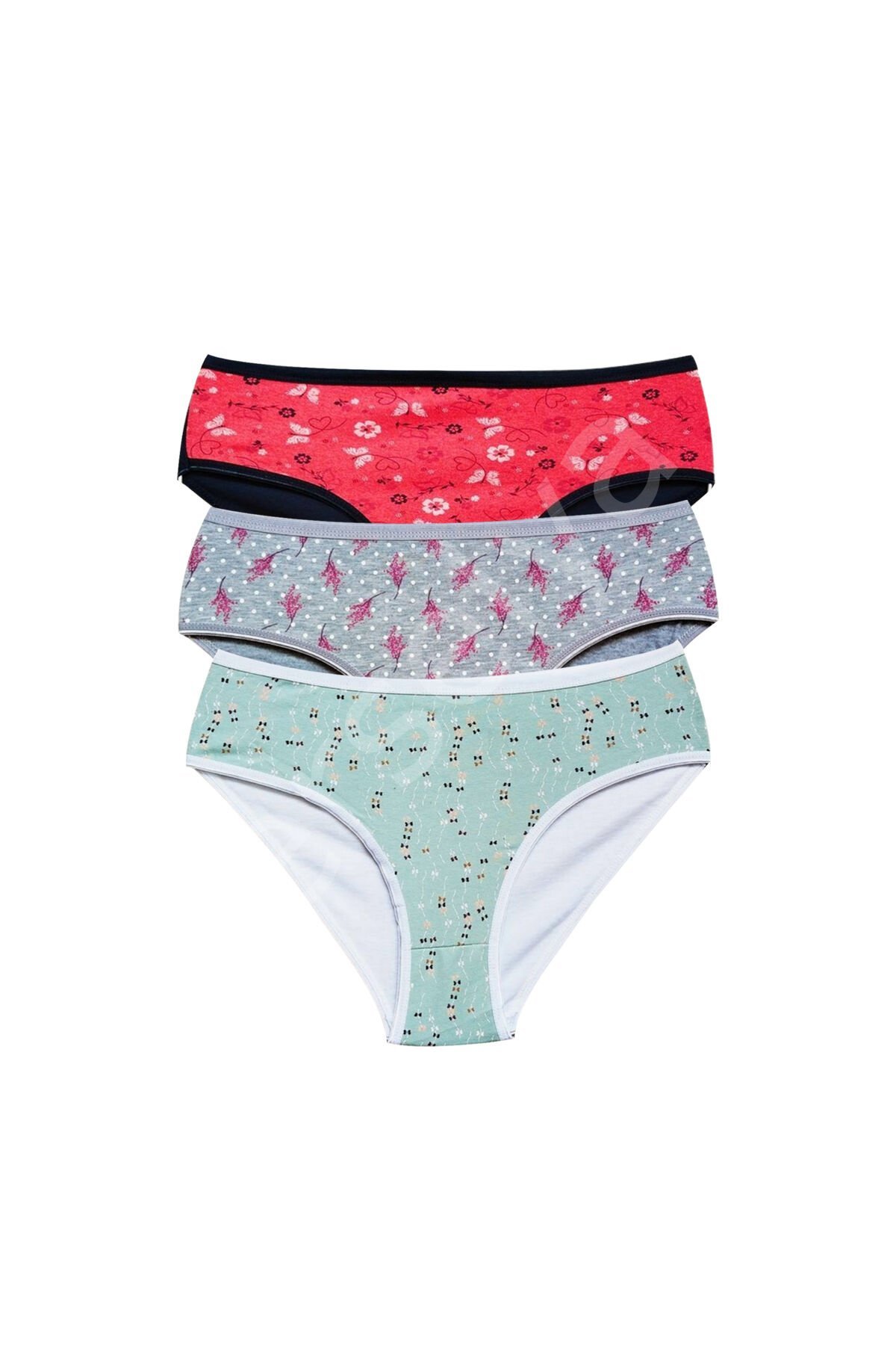 Pamuklu Geniş Kenarlı Likralı Desenli Bato Kadın Külot 3'lü Paket Set1