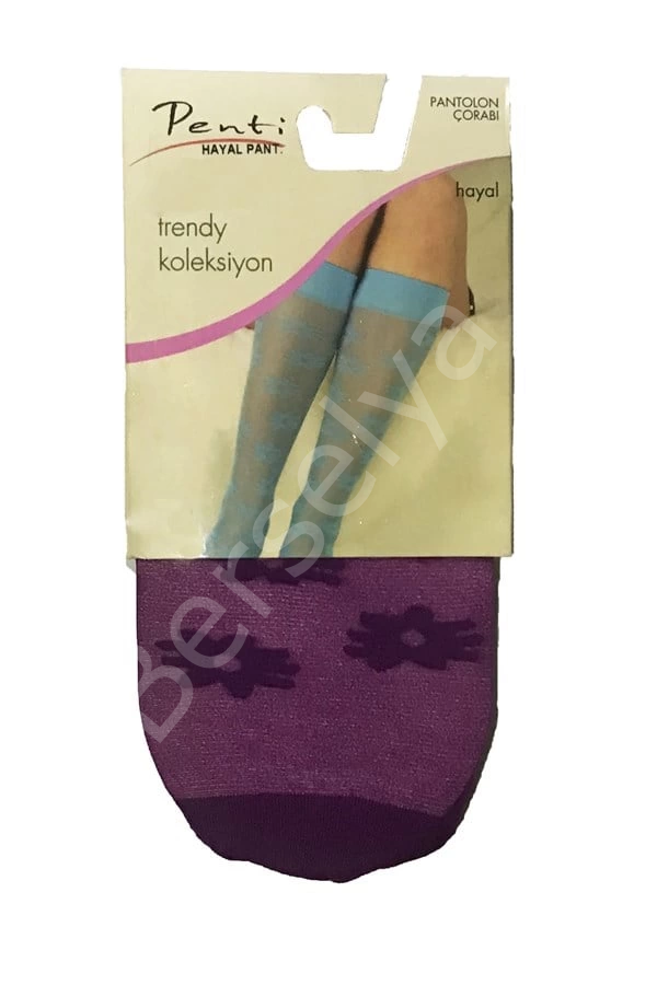 Penti Kadın Hayal Pantolon Çorabı