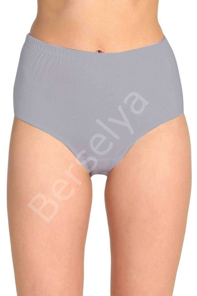 2 Adet Tutku Kadın Yüksek Bel Bato Kalın Lastik Külot S8