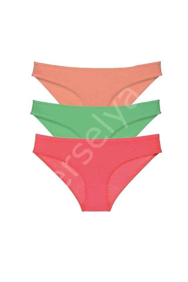 3 adet Süper Eko Set Likralı Kadın Slip Külot 543