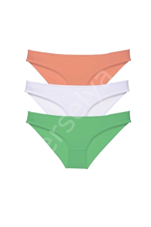 3 adet Süper Eko Set Likralı Kadın Slip Külot 544