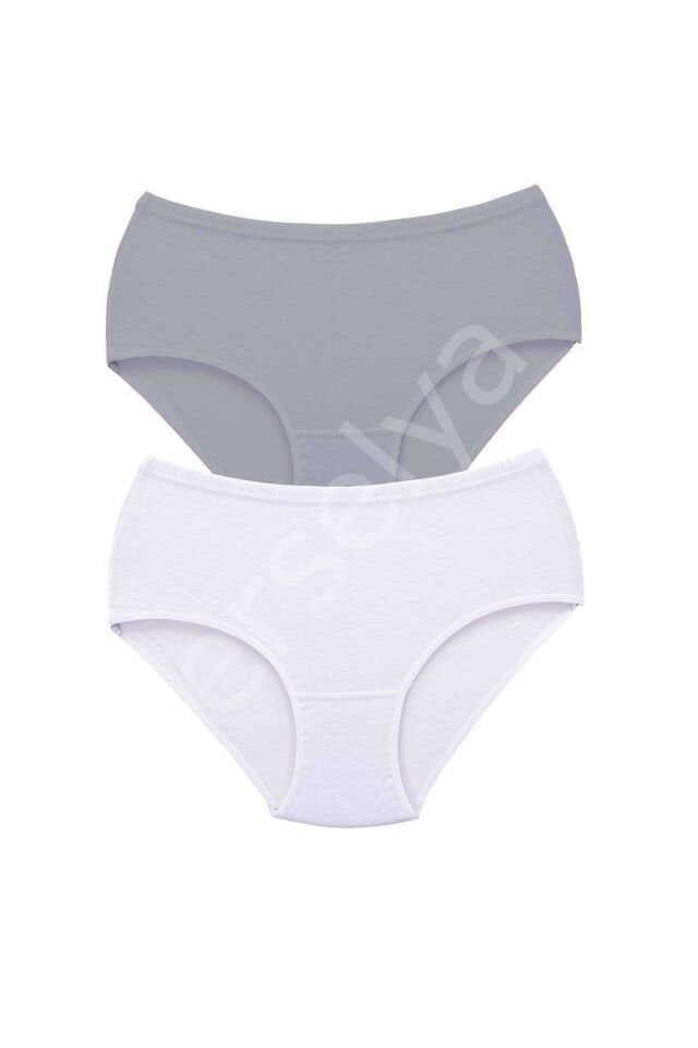 2 Adet Tutku Kadın Yüksek Bel Bato Kalın Lastik Külot S10