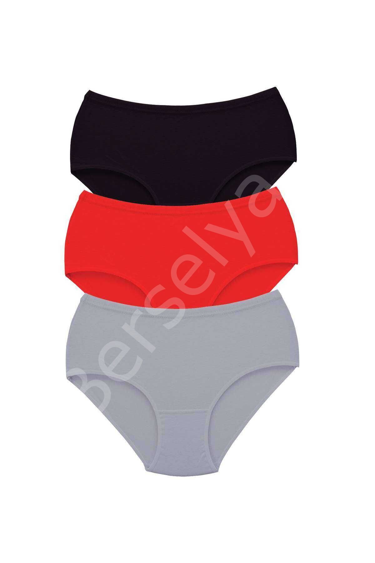 3 Adet Tutku Kadın Yüksek Bel Bato Kalın Lastik Külot S2