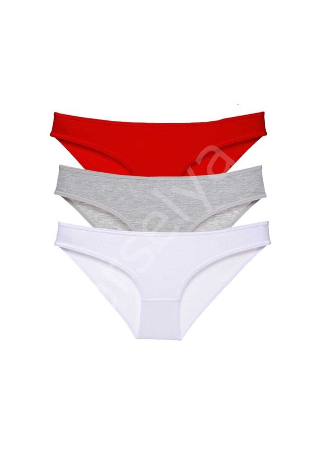 3 Adet Süper Eko Set Likralı Kadın Slip Külot 542