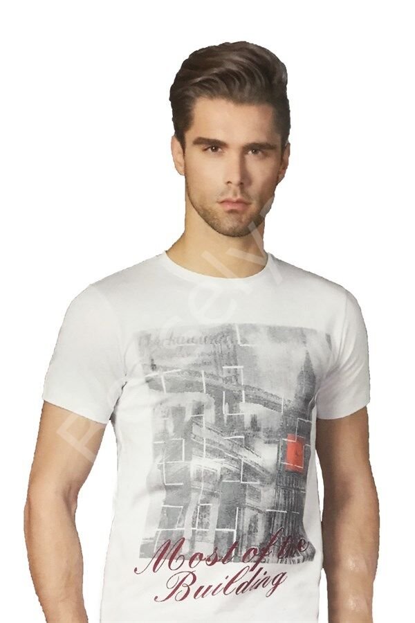 Berrak Erkek  Köprü Baskılı T-shirt 1047