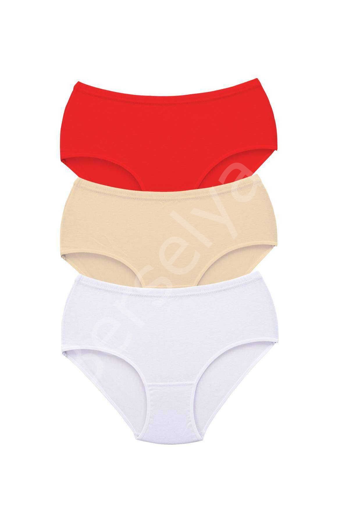 3 Adet Tutku Kadın Yüksek Bel Bato Kalın Lastik Külot S8