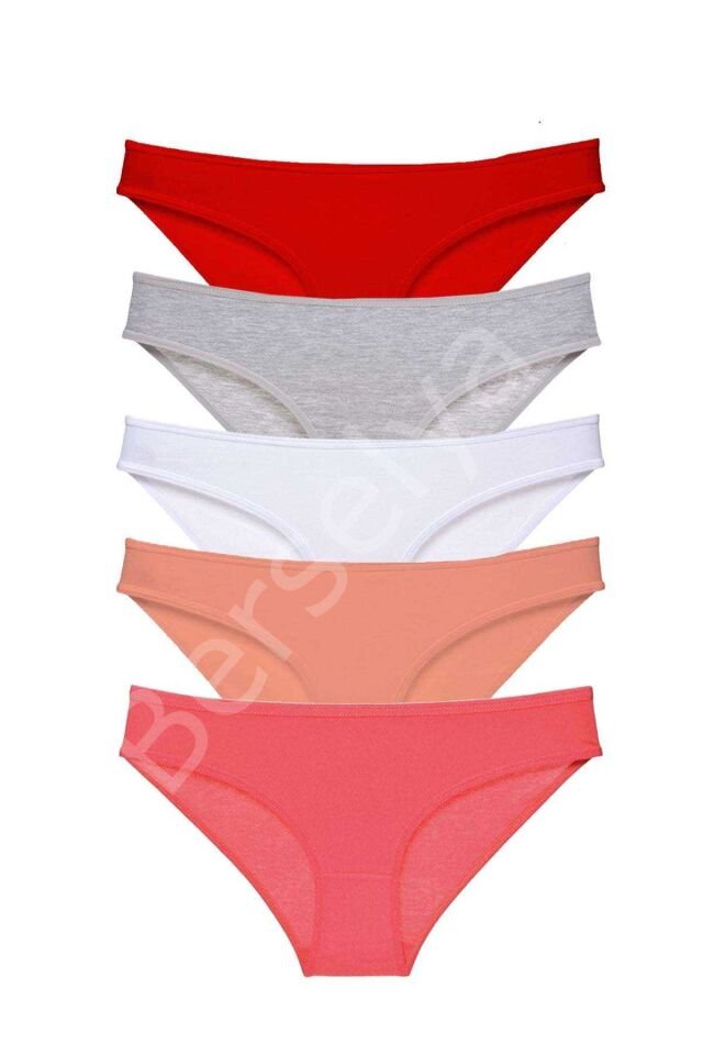 5 adet Süper Eko Set Likralı Kadın Slip Külot 519