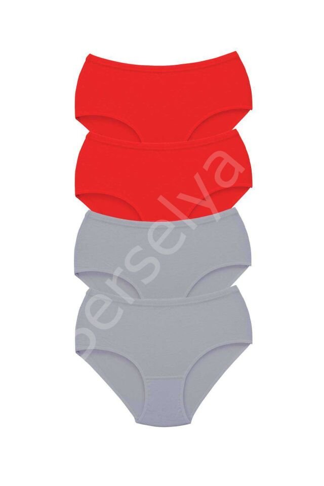 4 Adet Tutku Kadın Yüksek Bel Bato Kalın Lastik Külot S6